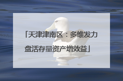 天津津南区：多维发力盘活存量资产增效益