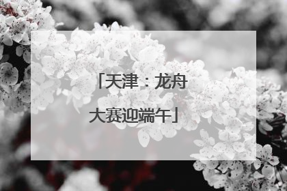 天津：龙舟大赛迎端午