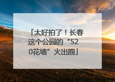 太好拍了！长春这个公园的“520花墙”火出圈