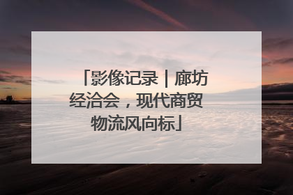 影像记录｜廊坊经洽会，现代商贸物流风向标