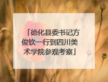 德化县委书记方俊钦一行到四川美术学院参观考察