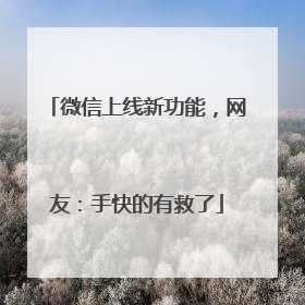 微信上线新功能，网友：手快的有救了