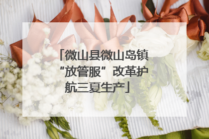 微山县微山岛镇“放管服”改革护航三夏生产