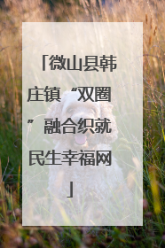 微山县韩庄镇“双圈”融合织就民生幸福网