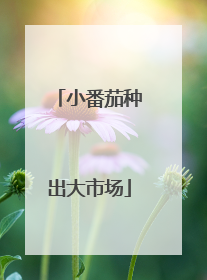 小番茄种出大市场