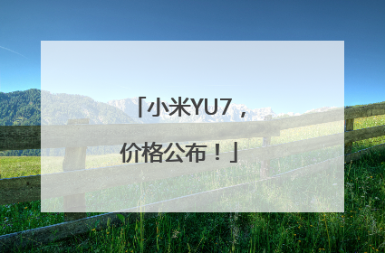 小米YU7，价格公布！