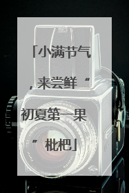 小满节气，来尝鲜“初夏第一果”枇杷