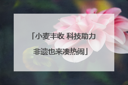 小麦丰收 科技助力 非遗也来凑热闹