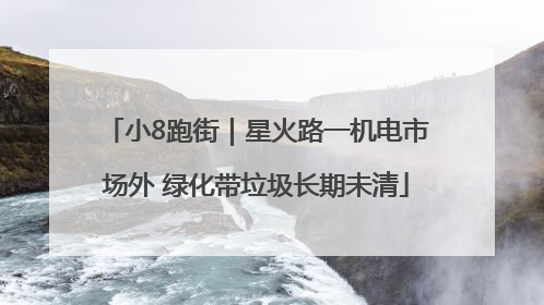 小8跑街｜星火路一机电市场外 绿化带垃圾长期未清