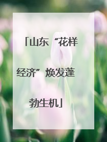 山东“花样经济”焕发蓬勃生机