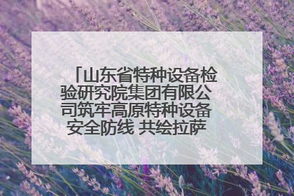山东省特种设备检验研究院集团有限公司筑牢高原特种设备安全防线 共绘拉萨美好生活画卷
