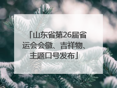 山东省第26届省运会会徽、吉祥物、主题口号发布