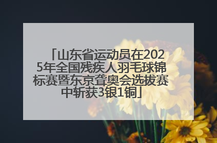 山东省运动员在2025年全国残疾人羽毛球锦标赛暨东京聋奥会选拔赛中斩获3银1铜