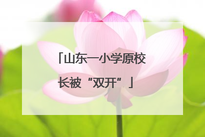 山东一小学原校长被“双开”