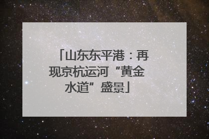 山东东平港：再现京杭运河“黄金水道”盛景