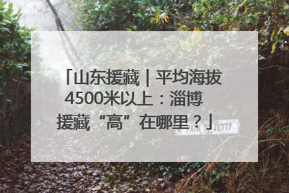山东援藏｜平均海拔4500米以上：淄博援藏“高”在哪里？