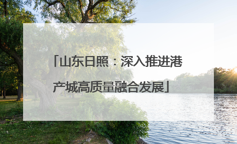 山东日照：深入推进港产城高质量融合发展