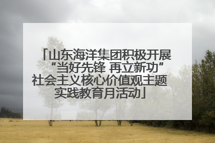 山东海洋集团积极开展“当好先锋 再立新功”社会主义核心价值观主题实践教育月活动
