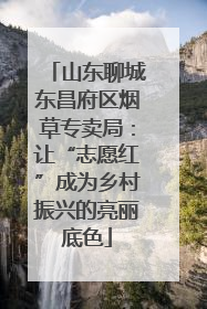 山东聊城东昌府区烟草专卖局：让“志愿红”成为乡村振兴的亮丽底色