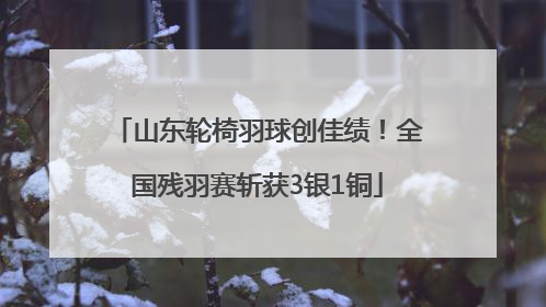 山东轮椅羽球创佳绩！全国残羽赛斩获3银1铜