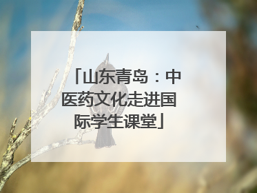 山东青岛：中医药文化走进国际学生课堂