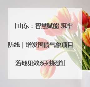 山东：智慧赋能 筑牢防线｜增发国债气象项目落地见效系列报道