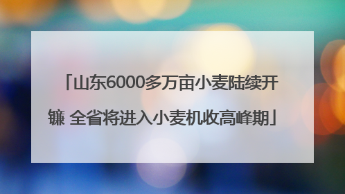 山东6000多万亩小麦陆续开镰 全省将进入小麦机收高峰期