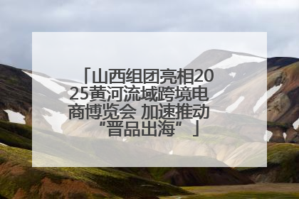 山西组团亮相2025黄河流域跨境电商博览会 加速推动“晋品出海”