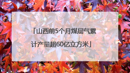 山西前5个月煤层气累计产量超60亿立方米