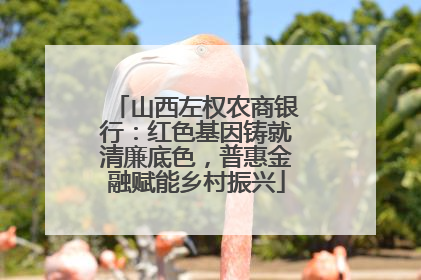 山西左权农商银行：红色基因铸就清廉底色，普惠金融赋能乡村振兴
