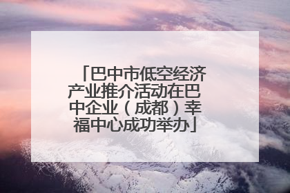 巴中市低空经济产业推介活动在巴中企业（成都）幸福中心成功举办