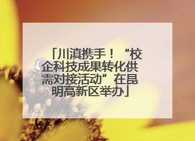 川滇携手！“校企科技成果转化供需对接活动”在昆明高新区举办