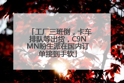 工厂三班倒，卡车排队等出货，C9NMN盼生派在国内订单接到手软