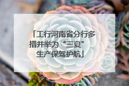 工行河南省分行多措并举为“三夏” 生产保驾护航