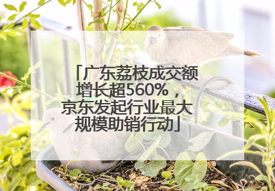 广东荔枝成交额增长超560%，京东发起行业最大规模助销行动