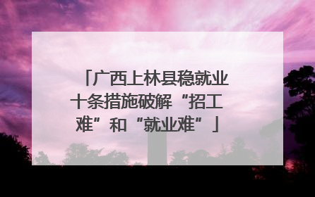 广西上林县稳就业十条措施破解“招工难”和“就业难”