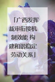 广西发挥裁审衔接机制效能 构建和谐稳定劳动关系