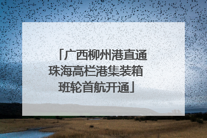 广西柳州港直通珠海高栏港集装箱班轮首航开通