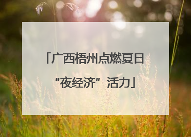 广西梧州点燃夏日“夜经济”活力