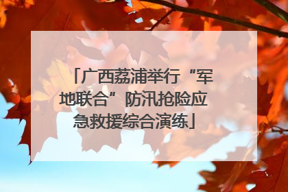 广西荔浦举行“军地联合”防汛抢险应急救援综合演练
