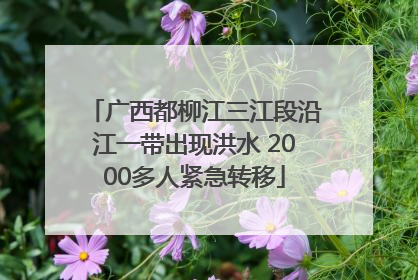 广西都柳江三江段沿江一带出现洪水 2000多人紧急转移