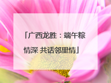 广西龙胜：端午粽情深 共话邻里情