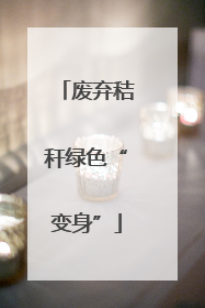 废弃秸秆绿色“变身”