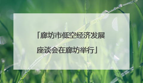 廊坊市低空经济发展座谈会在廊坊举行