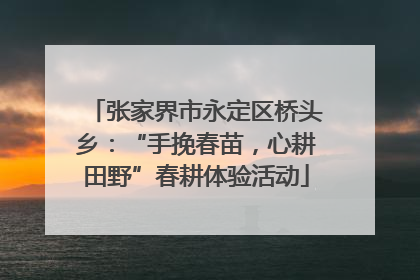 张家界市永定区桥头乡：“手挽春苗，心耕田野”春耕体验活动