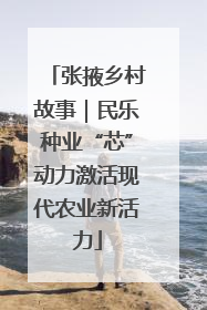 张掖乡村故事｜民乐种业“芯”动力激活现代农业新活力