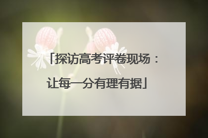 探访高考评卷现场：让每一分有理有据