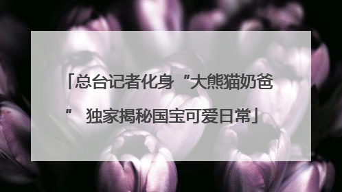 总台记者化身“大熊猫奶爸” 独家揭秘国宝可爱日常