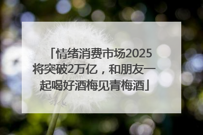 情绪消费市场2025将突破2万亿，和朋友一起喝好酒梅见青梅酒