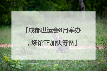 成都世运会8月举办，场馆正加快筹备
